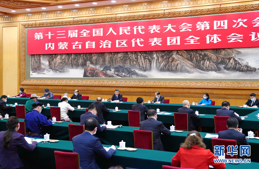 3月5日，中共中央總書記、國家主席、中央軍委主席習(xí)近平參加十三屆全國人大四次會議內(nèi)蒙古代表團(tuán)的審議。新華社記者 謝環(huán)馳 攝