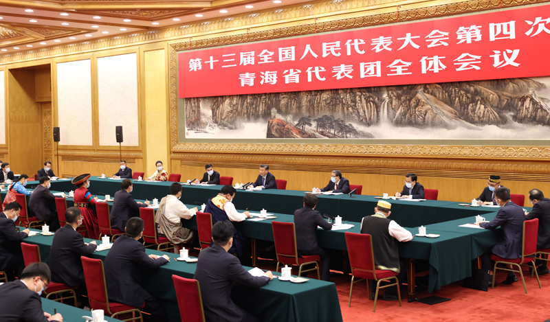 3月7日，中共中央總書記、國家主席、中央軍委主席習(xí)近平參加十三屆全國人大四次會(huì)議青海代表團(tuán)的審議。新華社記者 黃敬文 攝